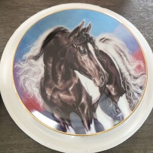 Spirit Wind Noble And Free Collectors Plate By Susan Morton With Certificate